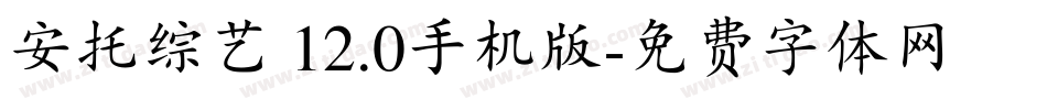 安托综艺 12.0手机版字体转换